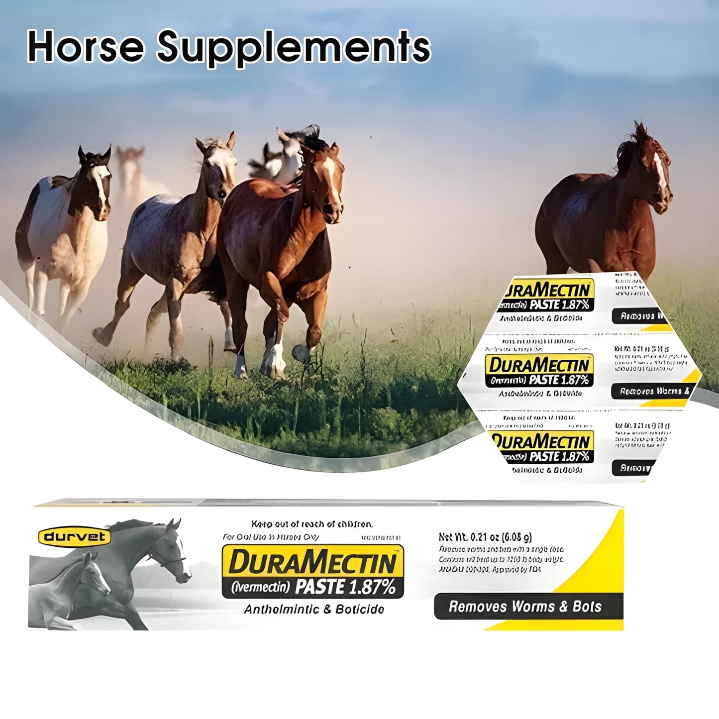Durvet Duramectin Ivermectin Paste 1.87% Horse Dewormer – 1 Tube | Controls Worms & Bots | Broad-Spectrum Equine Parasite Treatment