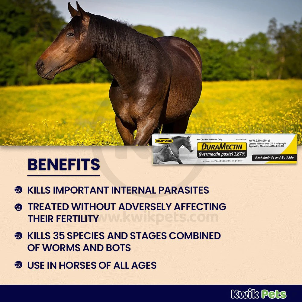 Durvet Duramectin Ivermectin Paste 1.87% Horse Dewormer – 1 Tube | Controls Worms & Bots | Broad-Spectrum Equine Parasite Treatment
