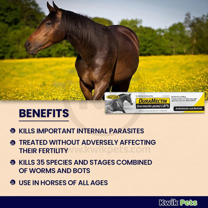 Durvet Duramectin Ivermectin Paste 1.87% Horse Dewormer – 1 Tube | Controls Worms & Bots | Broad-Spectrum Equine Parasite Treatment