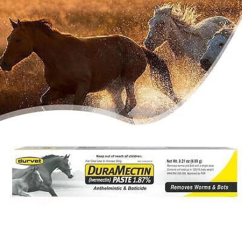 Durvet Duramectin Ivermectin Paste 1.87% Horse Dewormer – 1 Tube | Controls Worms & Bots | Broad-Spectrum Equine Parasite Treatment